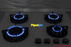 Gas Stove Conversion - LPG to PNG or PNG to LPG Burner Conversion